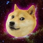 Play doge online for free